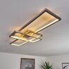 Momahaki Plafondlamp LED Nikkel mat, 1-licht, Afstandsbediening