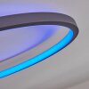 Moemoto Plafondlamp LED Antraciet, 1-licht, Afstandsbediening