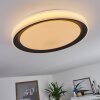 Gladstone Plafondlamp LED Zwart, Wit, 1-licht, Afstandsbediening