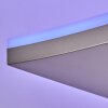 Jamilena Staande lamp LED Nikkel mat, 3-lichts, Afstandsbediening