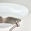 Mairoa Staande lamp LED Nikkel mat, 2-lichts
