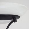 Mairoa Staande lamp LED Zwart, 2-lichts