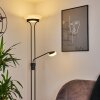 Mairoa Staande lamp LED Zwart, 2-lichts