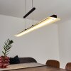 Barrud Hanglamp LED Zwart, 1-licht