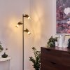 Agrons Staande lamp Zwart, 3-lichts