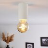 Agnano Plafondlamp Wit, 1-licht