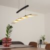 Balcairn Hanglamp LED Zwart, 4-lichts