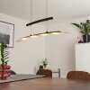 Balcairn Hanglamp LED Zwart, 4-lichts
