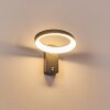 Carinola Buiten muurverlichting LED Antraciet, 1-licht, Bewegingsmelder