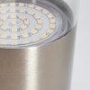 Caivano Buiten muurverlichting LED Nikkel mat, 1-licht