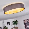 Elsa Plafondlamp LED Wit, 1-licht