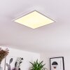 Badia Plafondpaneel LED Wit, 2-lichts