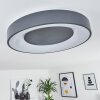 Casina Plafondlamp LED Antraciet, Wit, 1-licht, Afstandsbediening
