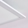 Gallitos Plafondpaneel LED Wit, 1-licht, Afstandsbediening, Kleurwisselaar