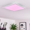 Gallitos Plafondpaneel LED Wit, 1-licht, Afstandsbediening, Kleurwisselaar