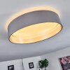 Elsa Plafondlamp LED Wit, 1-licht
