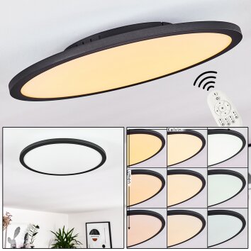 Nexo Plafondpaneel LED Zwart, 1-licht, Afstandsbediening