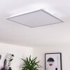 Nexo Plafondpaneel LED Wit, 1-licht