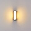 Arvier Buiten muurverlichting LED Zwart, 1-licht