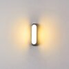 Arvier Buiten muurverlichting LED Grijs, 1-licht