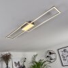 Torresella Plafondlamp LED Nikkel mat, 2-lichts, Afstandsbediening