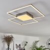 Torresella Plafondlamp LED Nikkel mat, 2-lichts, Afstandsbediening