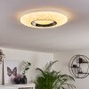 Roseto Plafondlamp LED Chroom, Transparant, Helder, Wit, 1-licht, Afstandsbediening