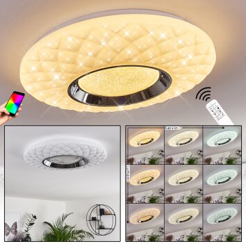 Roseto Plafondlamp LED Chroom, Transparant, Helder, Wit, 1-licht, Afstandsbediening