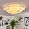 Roseto Plafondlamp LED Transparant, Helder, Wit, 1-licht, Afstandsbediening