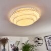 Roseto Plafondlamp LED Transparant, Helder, Wit, 1-licht, Afstandsbediening