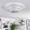 Roseto Plafondlamp LED Transparant, Helder, Wit, 1-licht, Afstandsbediening