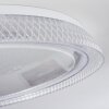 Feletto Plafondlamp LED Transparant, Helder, Wit, 1-licht, Afstandsbediening