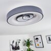 Gabbiana Plafondlamp LED Grijs, Wit, 1-licht, Afstandsbediening