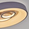 Gabbiana Plafondlamp LED Grijs, Wit, 1-licht, Afstandsbediening