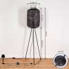 Quinto Staande lamp Zwart, 1-licht