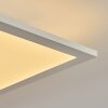 Nexo Plafondpaneel LED Wit, 2-lichts