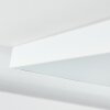 Pedemonte Plafondpaneel LED Wit, 1-licht