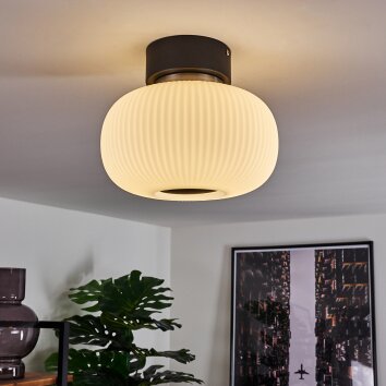 Sebep Plafondlamp LED Zwart, 1-licht