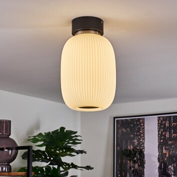 Sebep Plafondlamp LED Zwart, 1-licht