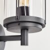 Riola Buiten muurverlichting Antraciet, 1-licht