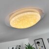 Rosenga Plafondlamp LED Wit, 1-licht, Afstandsbediening