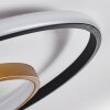 Trapani Plafondlamp LED Goud, Zwart, 1-licht, Afstandsbediening, Kleurwisselaar