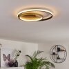 Trapani Plafondlamp LED Goud, Zwart, 1-licht, Afstandsbediening, Kleurwisselaar