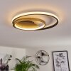 Trapani Plafondlamp LED Goud, Zwart, 1-licht, Afstandsbediening, Kleurwisselaar