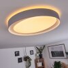 Beade Plafondlamp LED Grijs, Wit, 1-licht, Afstandsbediening, Kleurwisselaar
