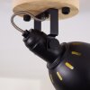 Tina Plafondlamp Hout donker, Zwart, 1-licht