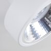 Chagres Plafondlamp Wit, 2-lichts