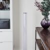 Tumurora Staande lamp LED Chroom, 1-licht, Afstandsbediening