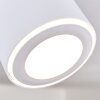 Appleton Plafondlamp LED Wit, 1-licht