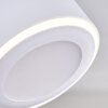 Appleton Plafondlamp LED Wit, 3-lichts